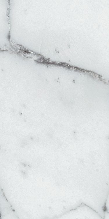 Origines Argent Glossy 12 x 24